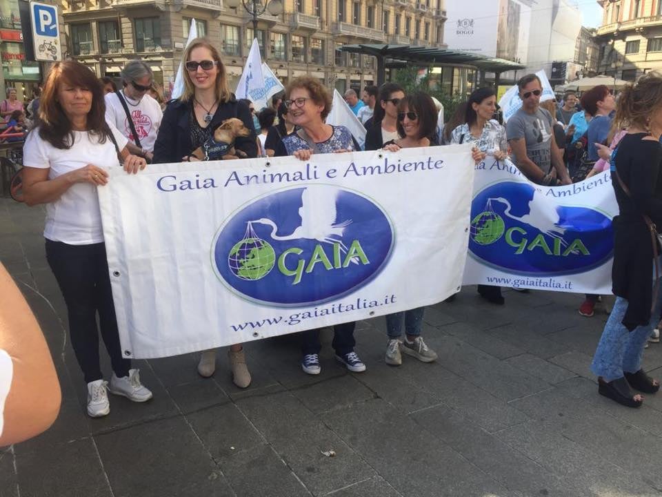 manifestazione milano 71497835_1204371846422744_4292668904381087744_n - copia